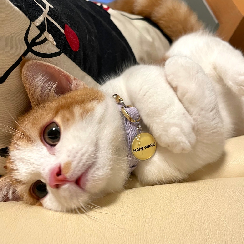 はにまるちゃん