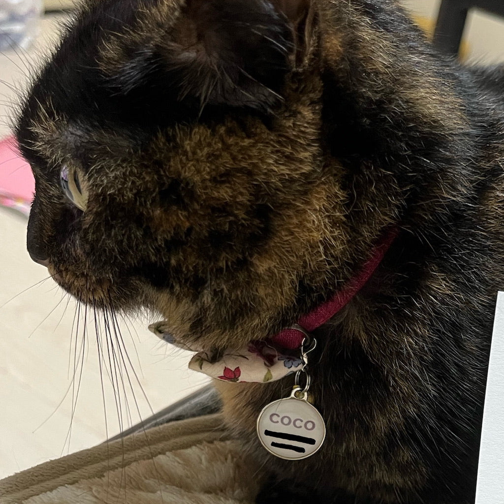 cocoちゃん