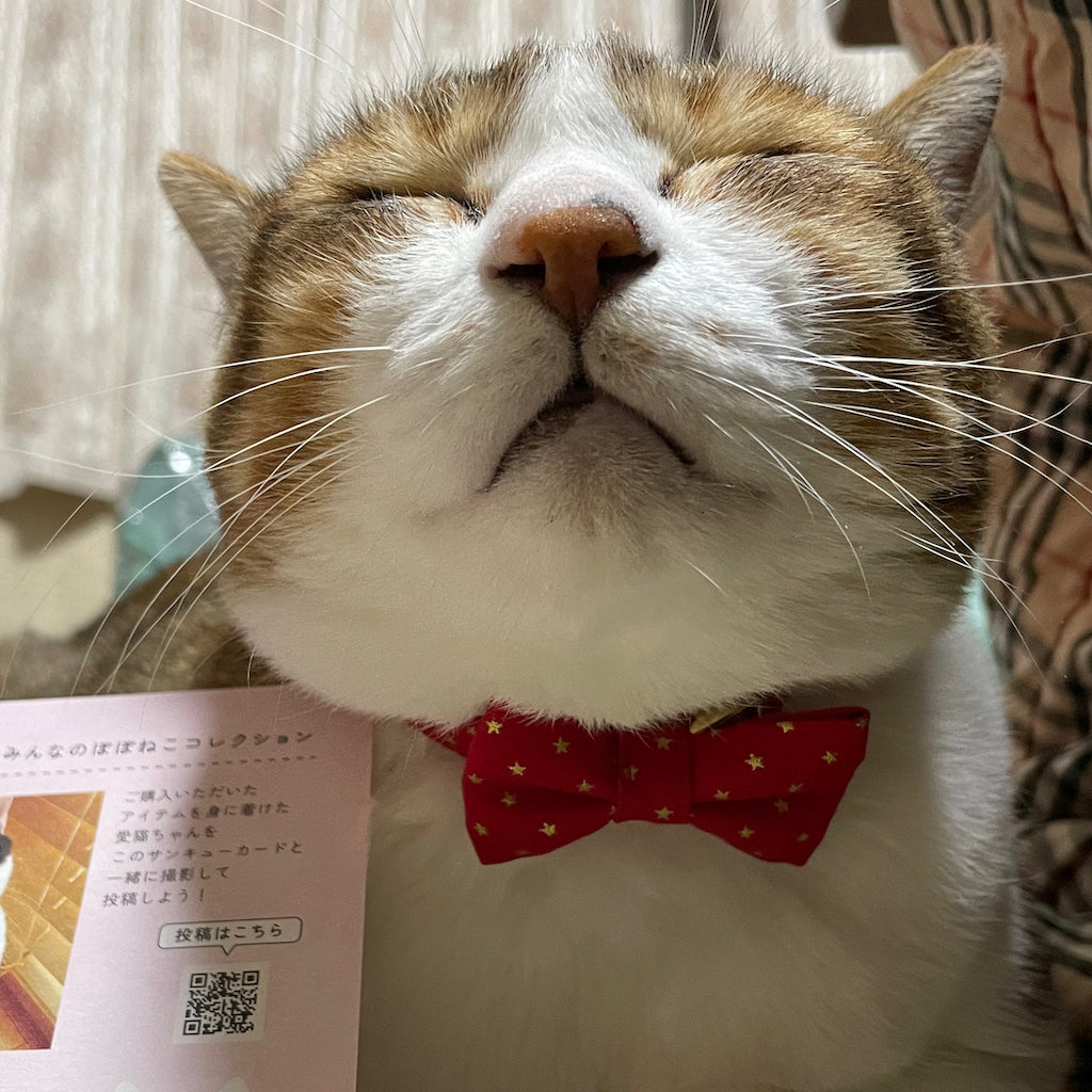 あすたくん