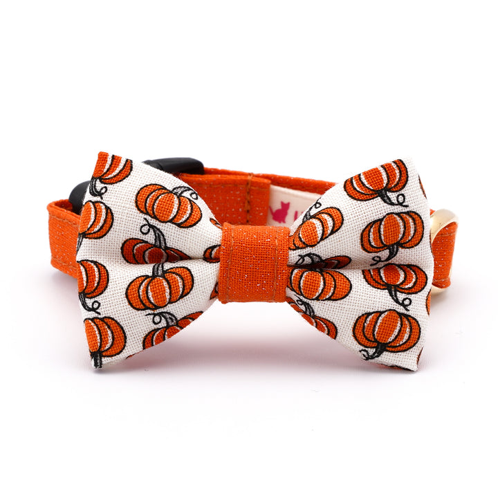 リボン付き猫首輪 ハロウィン プチ・パンプキン オフホワイト