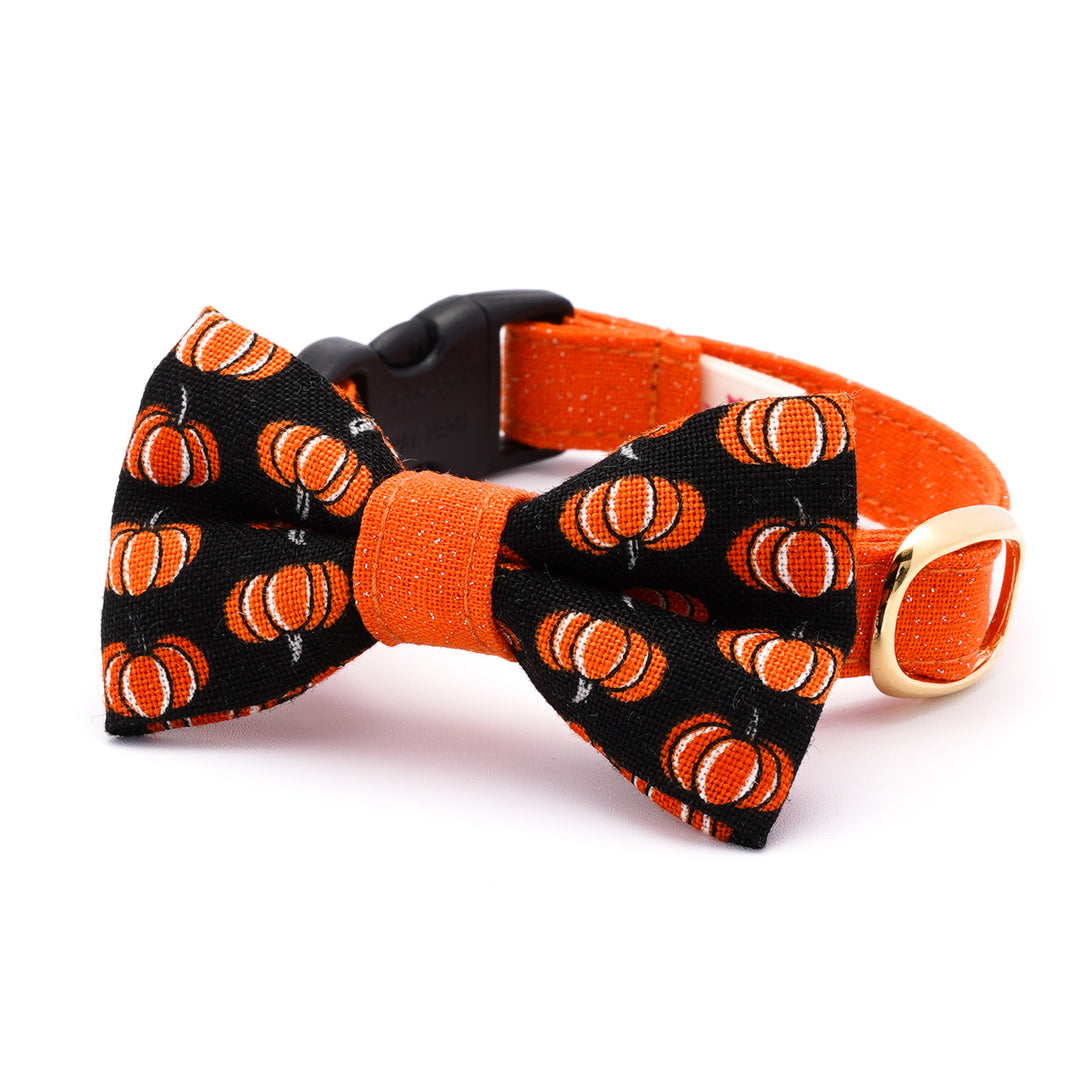 リボン付き猫首輪 ハロウィン プチ・パンプキン ブラック