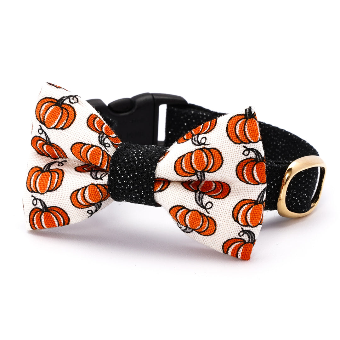 リボン付き猫首輪 ハロウィン プチ・パンプキン オフホワイト