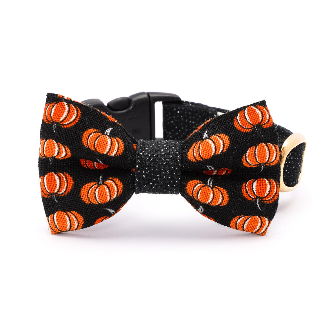 リボン付き猫首輪 ハロウィン プチ・パンプキン ブラック