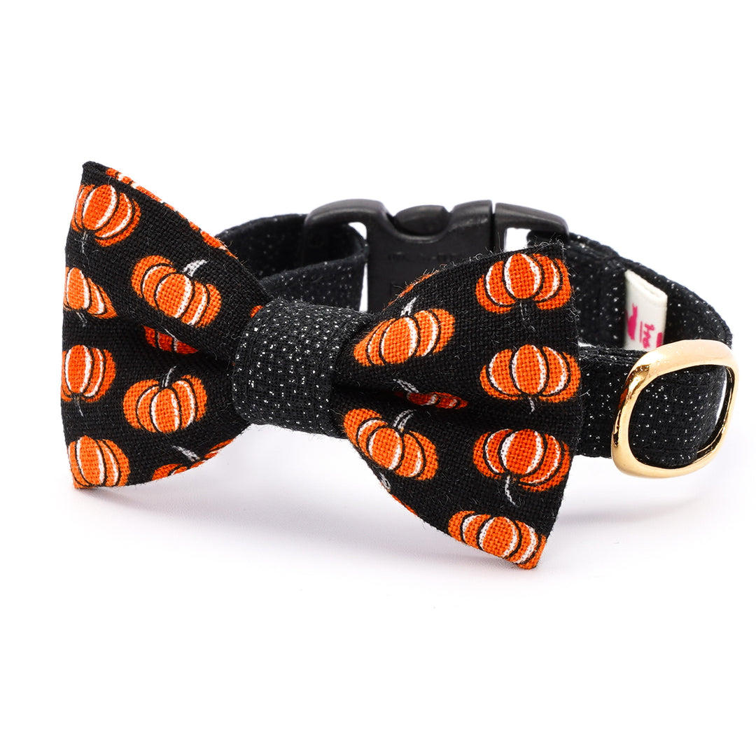 リボン付き猫首輪 ハロウィン プチ・パンプキン ブラック