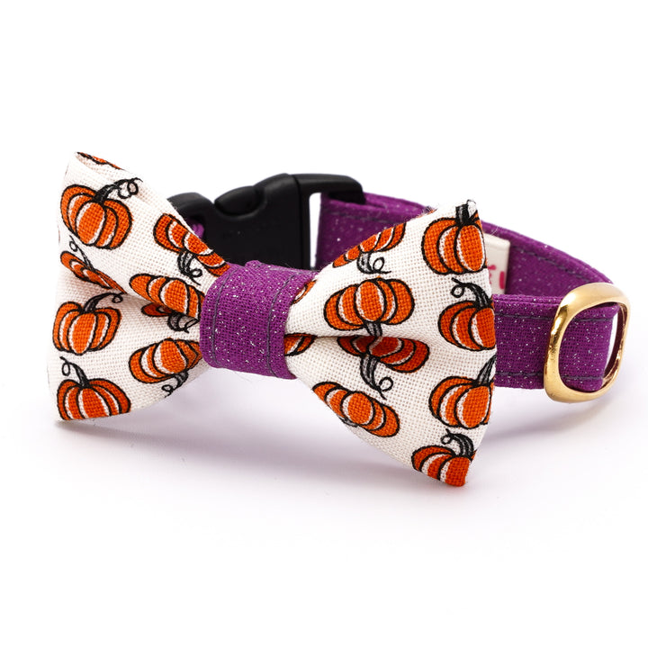 リボン付き猫首輪 ハロウィン プチ・パンプキン オフホワイト