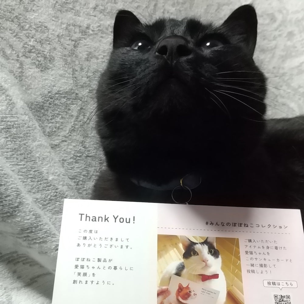ルーちゃん