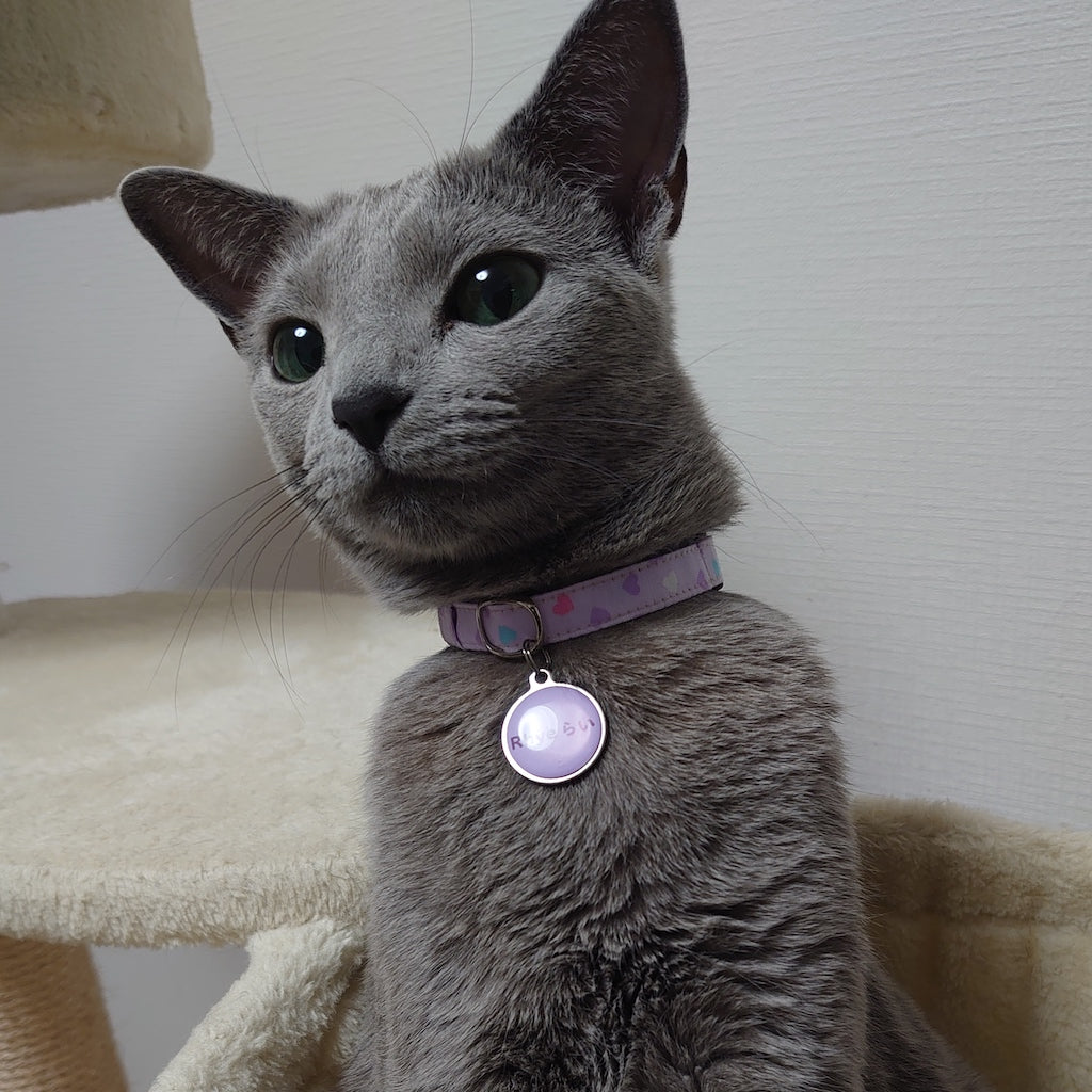 らいちゃん