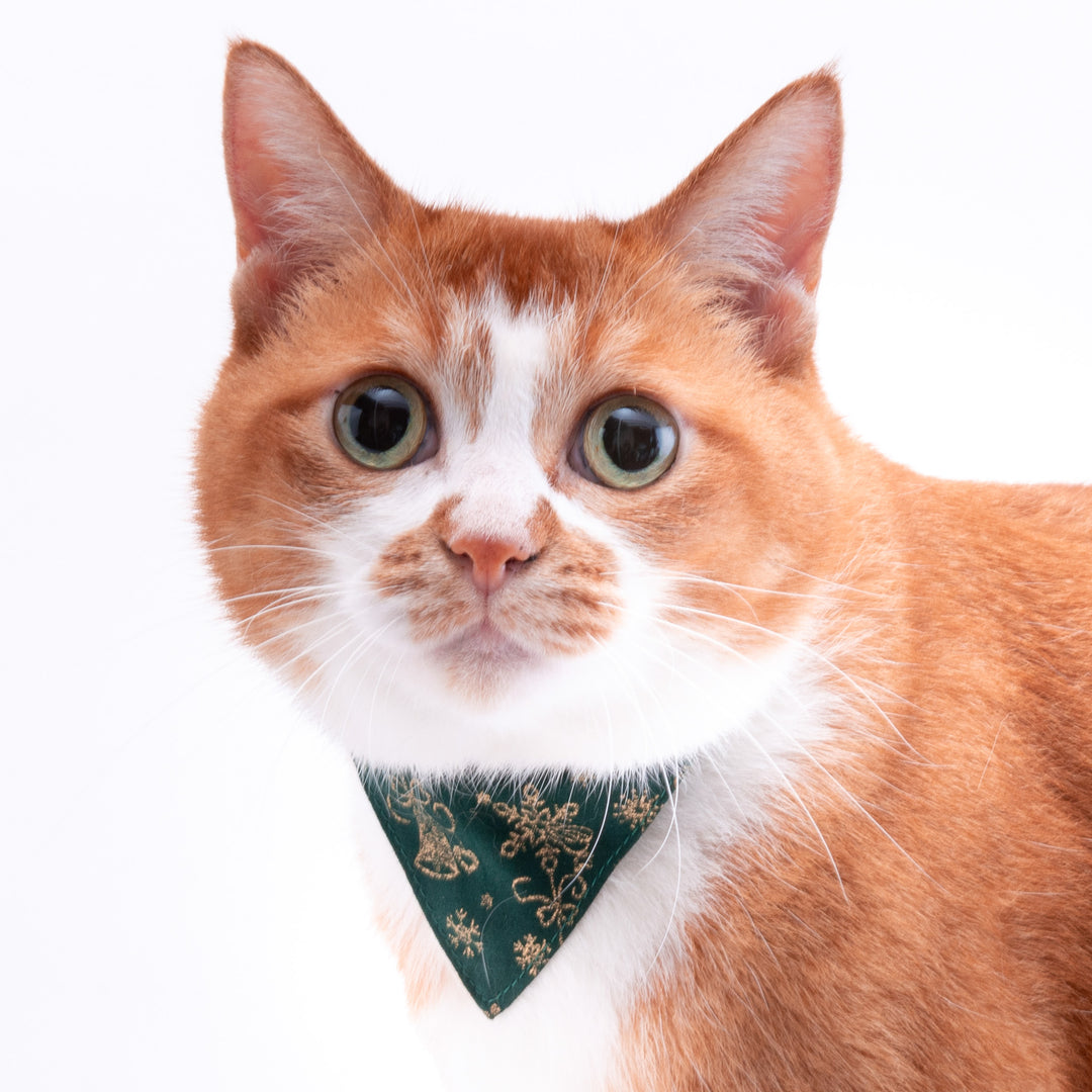 バンダナ付き猫首輪 クリスマス スノークリスタル グリーン