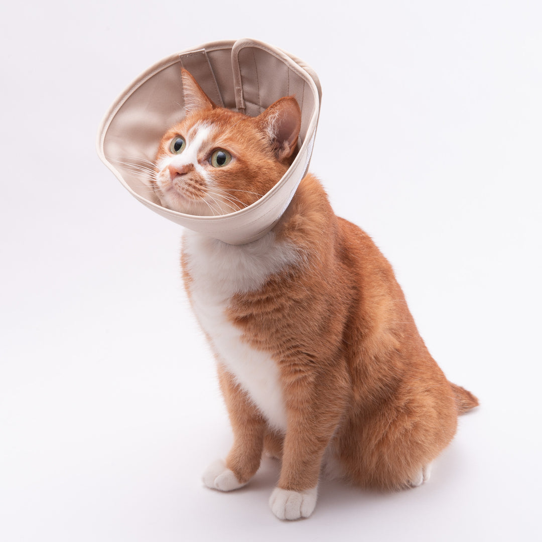 【訳あり】軽くて柔らかい猫用エリザベスカラー