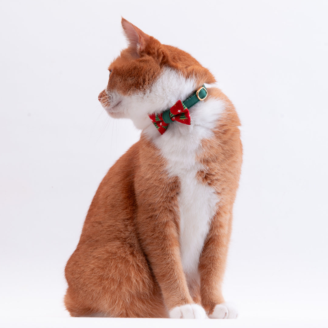 リボン付き猫首輪 クリスマス もみの木 レッド