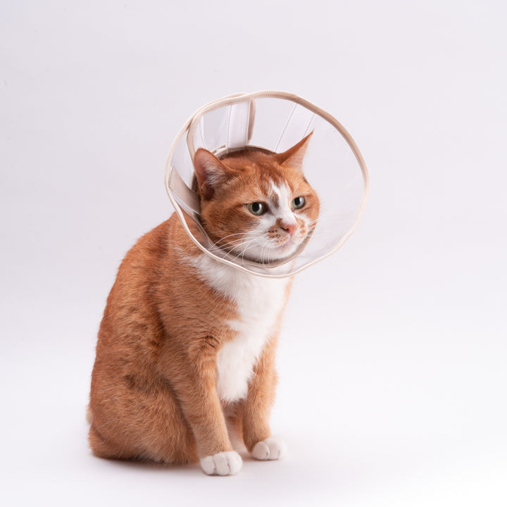 【訳あり】軽くて柔らかい猫用エリザベスカラー