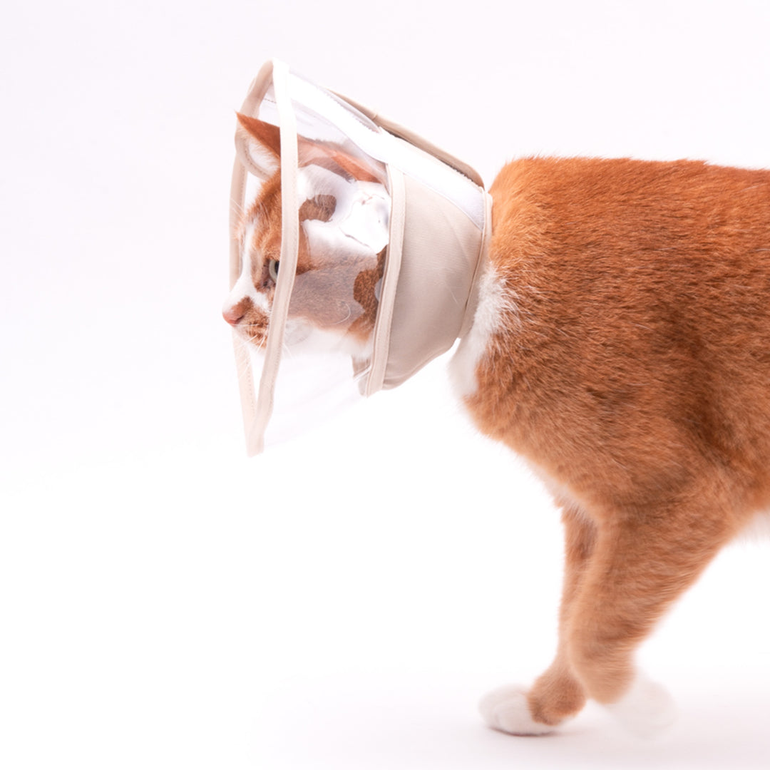 【訳あり】軽くて柔らかい猫用エリザベスカラー