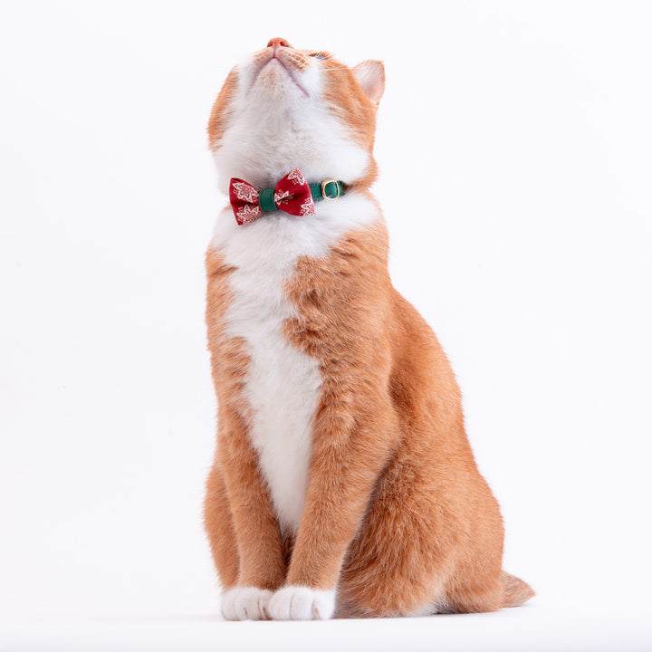 リボン付き猫首輪 クリスマス ヘキサゴン レッド