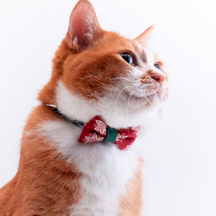 リボン付き猫首輪 クリスマス ヘキサゴン レッド