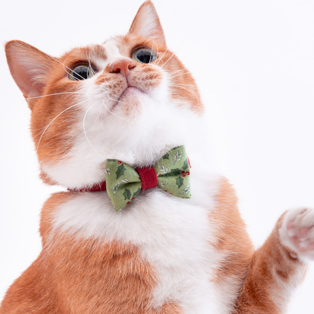 リボン付き猫首輪 クリスマス ホーリー グリーン