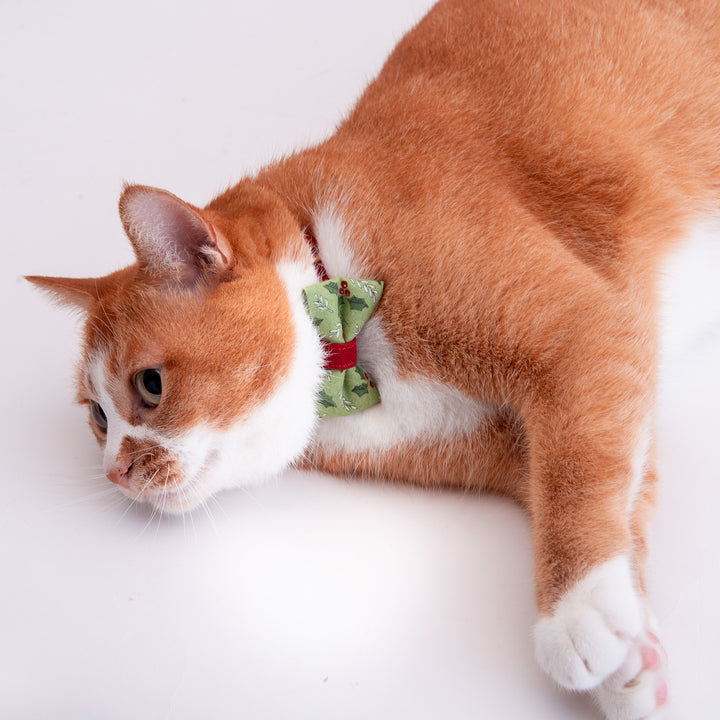 リボン付き猫首輪 クリスマス ホーリー グリーン