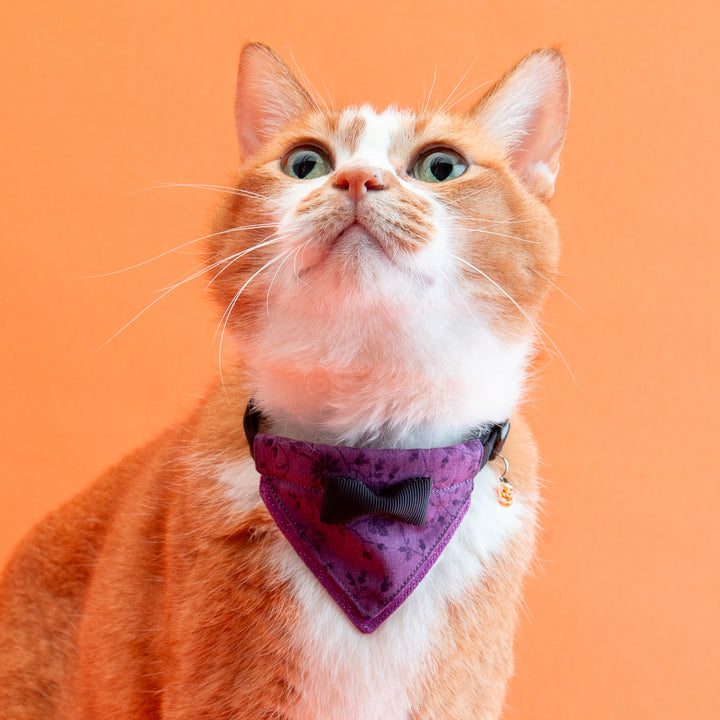 バンダナ付き猫首輪 ハロウィンパーティー ミッドナイトフラワー/パープル
