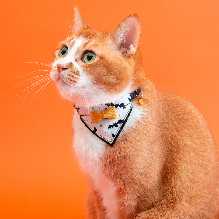 バンダナ付き猫首輪 ハロウィンパーティー コウモリ/ブラック
