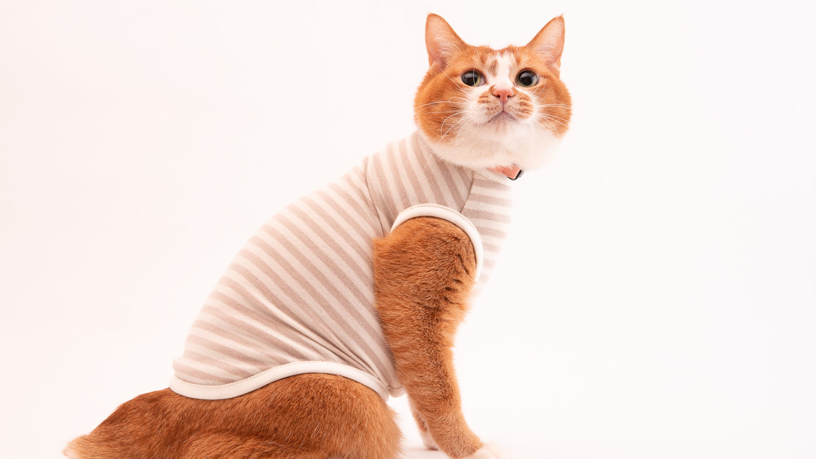 猫に優しい猫服　キャットウォーム