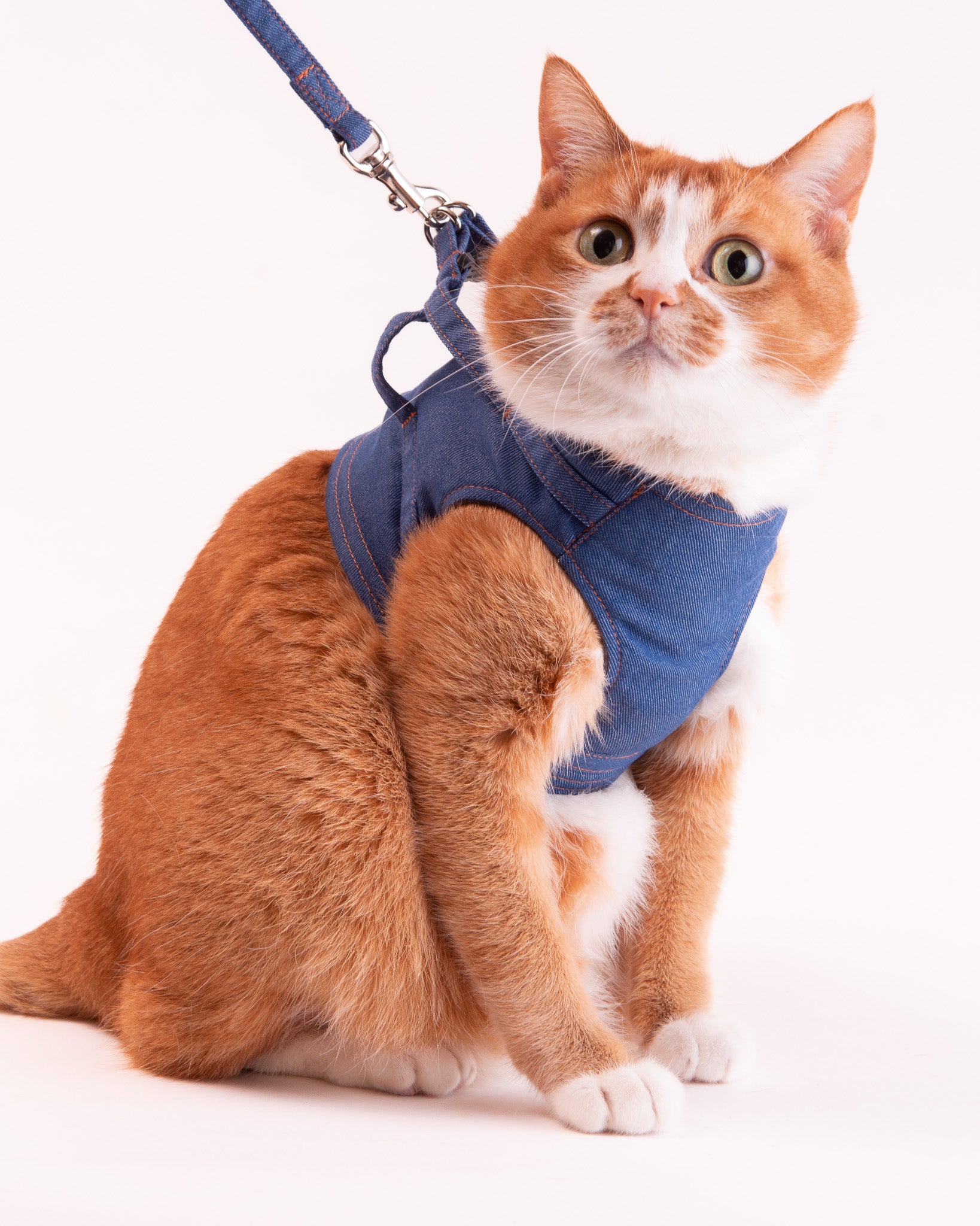 猫に優しいハーネス