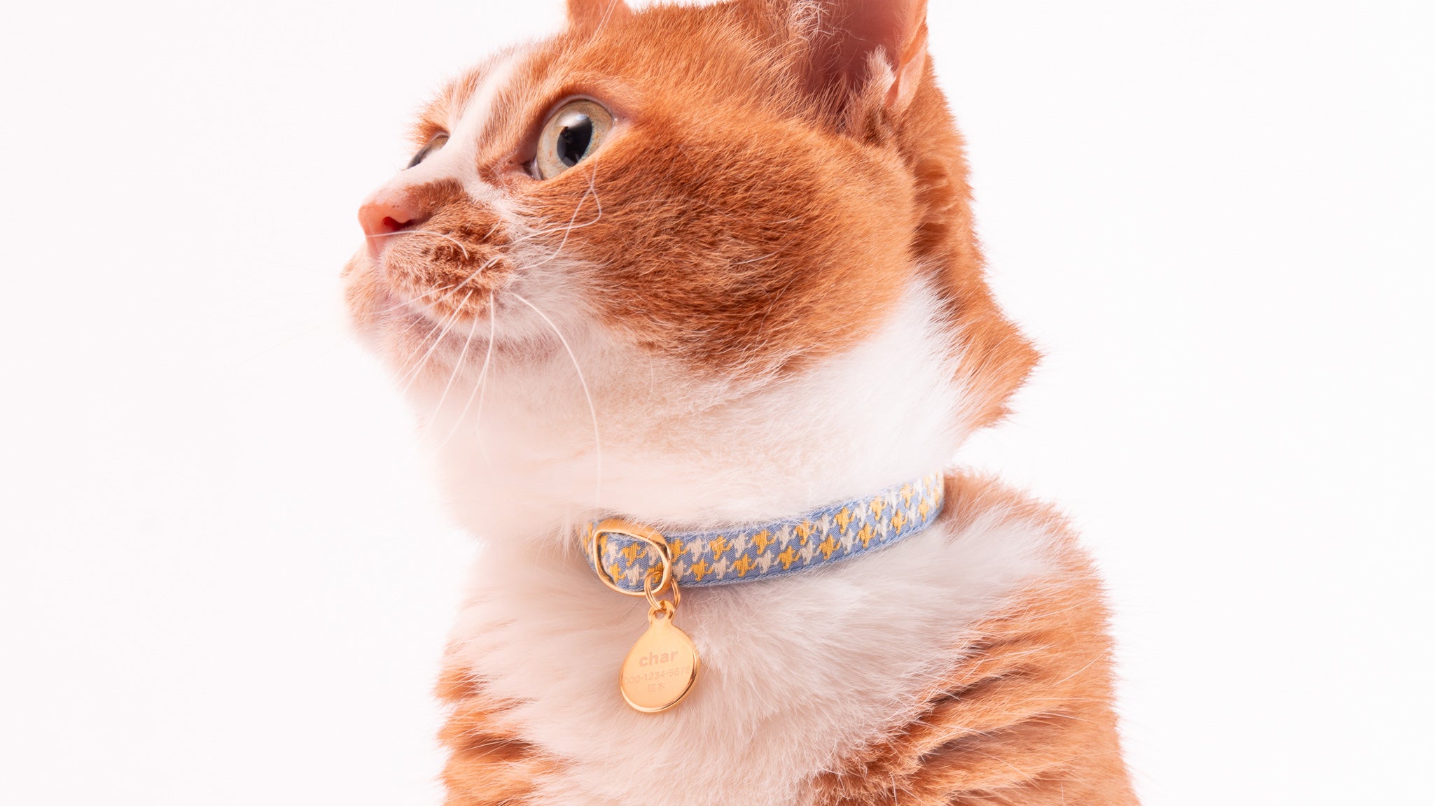 水に強い、軽い迷子札