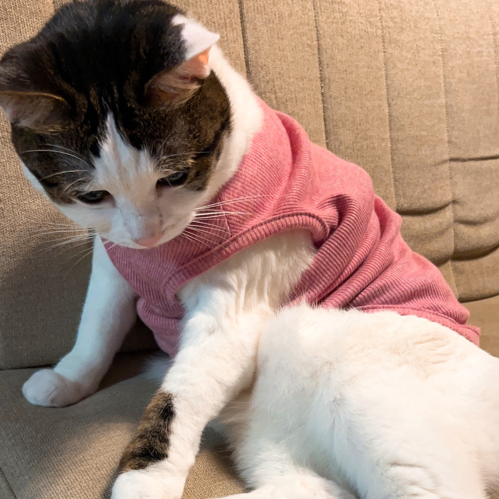 ララちゃん