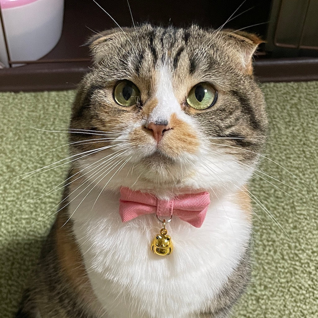 ららちゃん