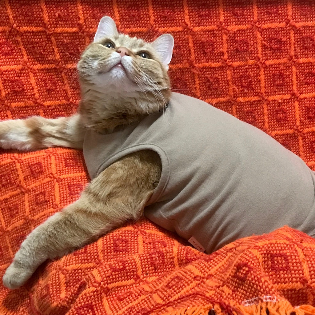 ななちゃん