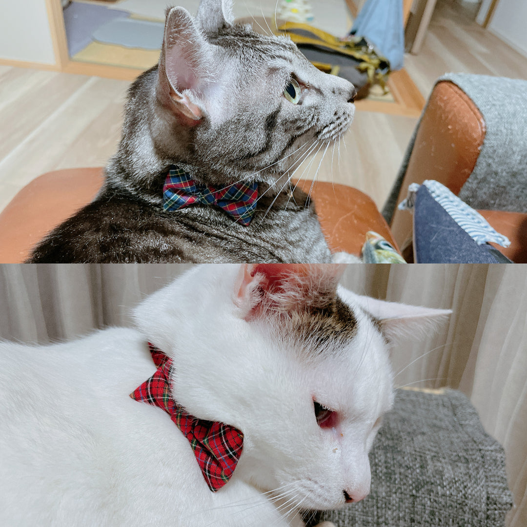 るい&はなちゃん