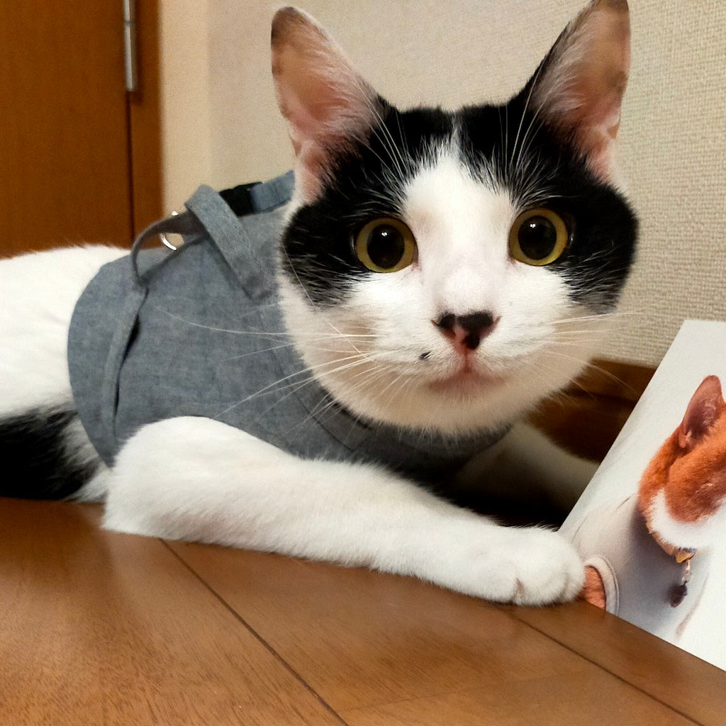 はるくん