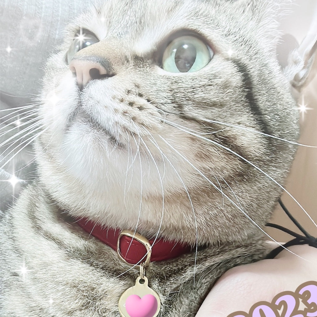 みーちゃん