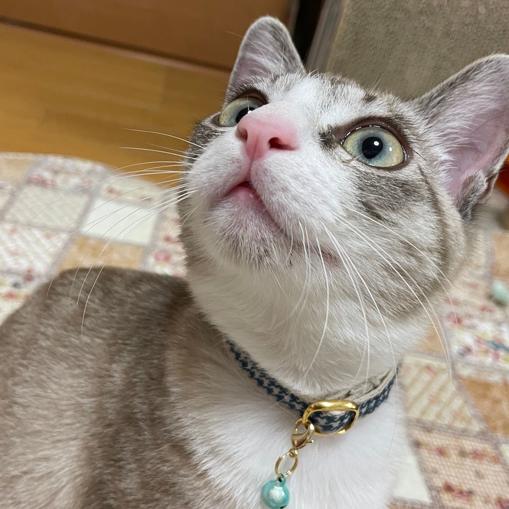 レオンくん