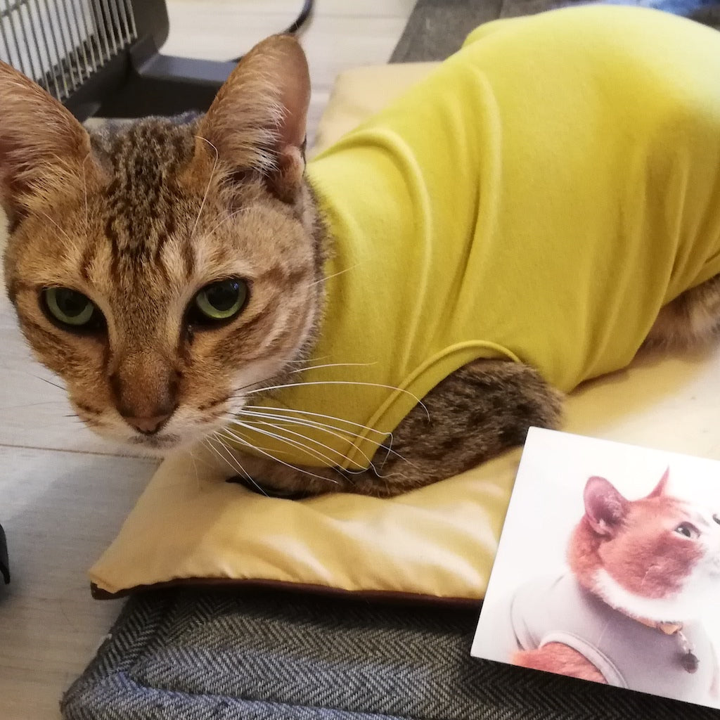 くりちゃん