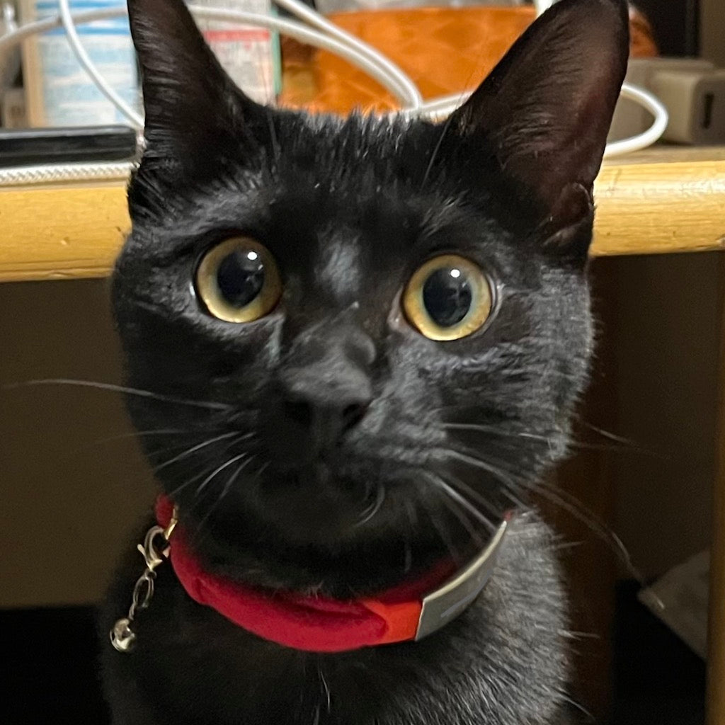 もぐちゃん