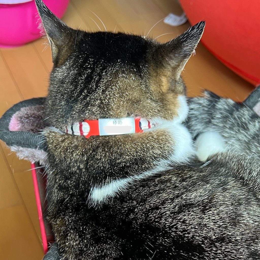 ゆめちゃん