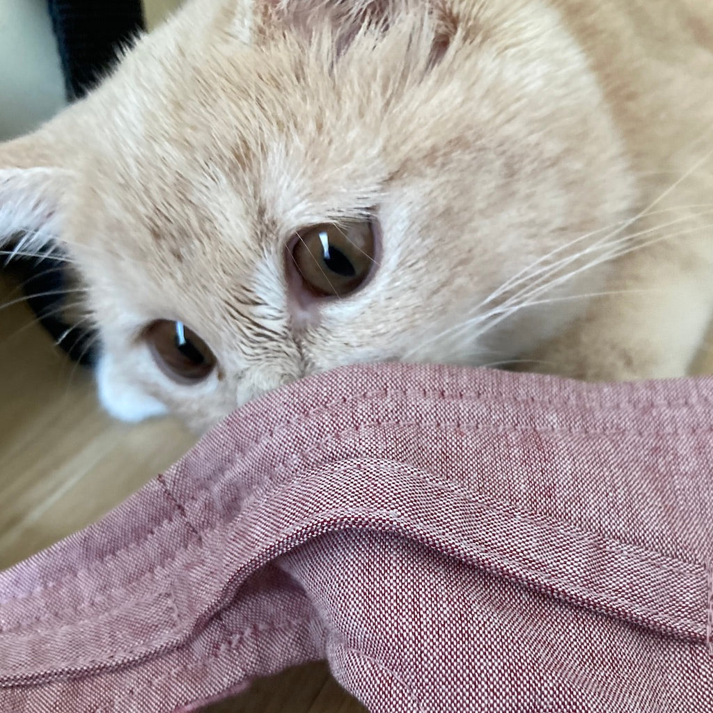 ゆきちゃん