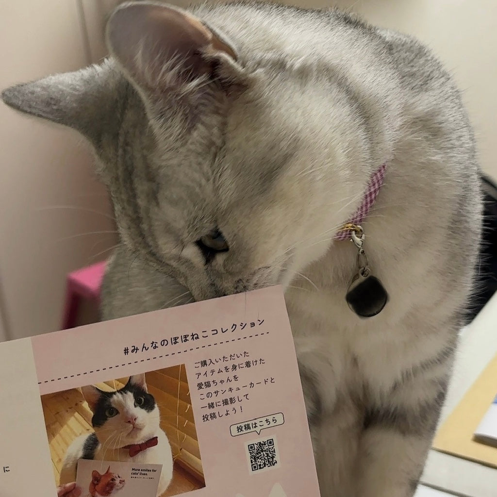 こはるくん