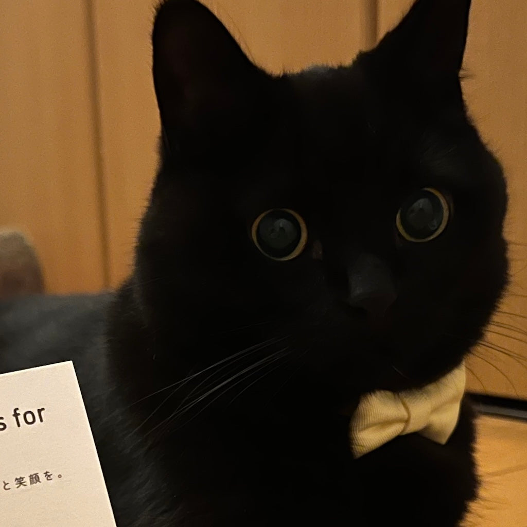 ジジちゃん
