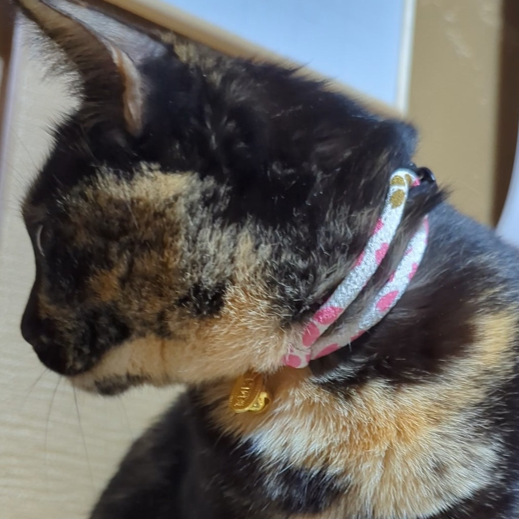 つくしちゃん