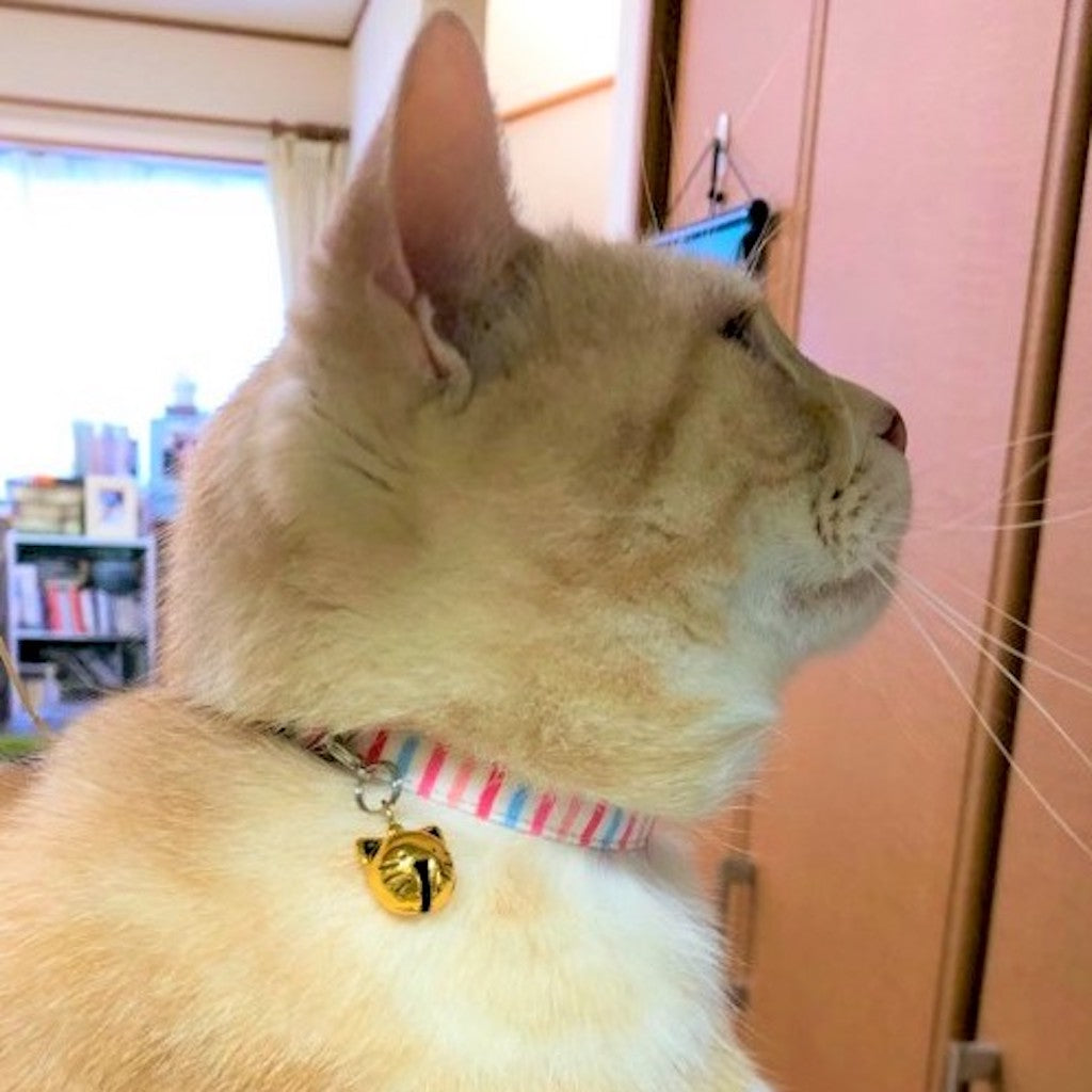 ニモちゃん
