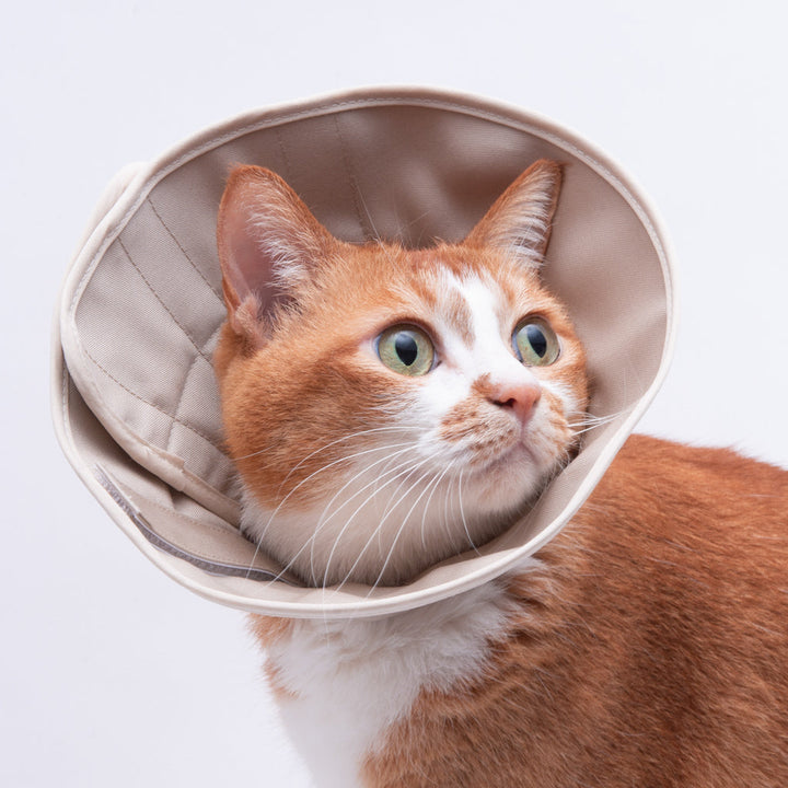 【訳あり】軽くて柔らかい猫用エリザベスカラー