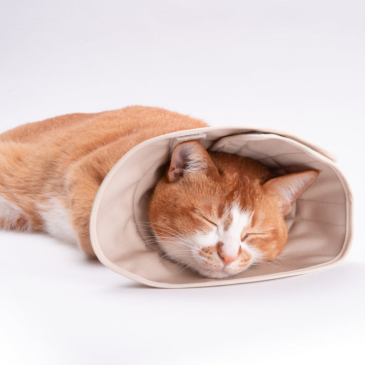 【訳あり】軽くて柔らかい猫用エリザベスカラー