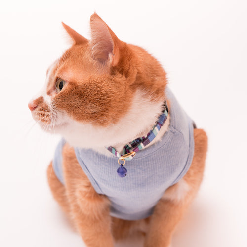 猫首輪 モダンミラノストライプ アズーリブルー(パープル×ブルー) - ぽぽねこ公式オンラインショップ