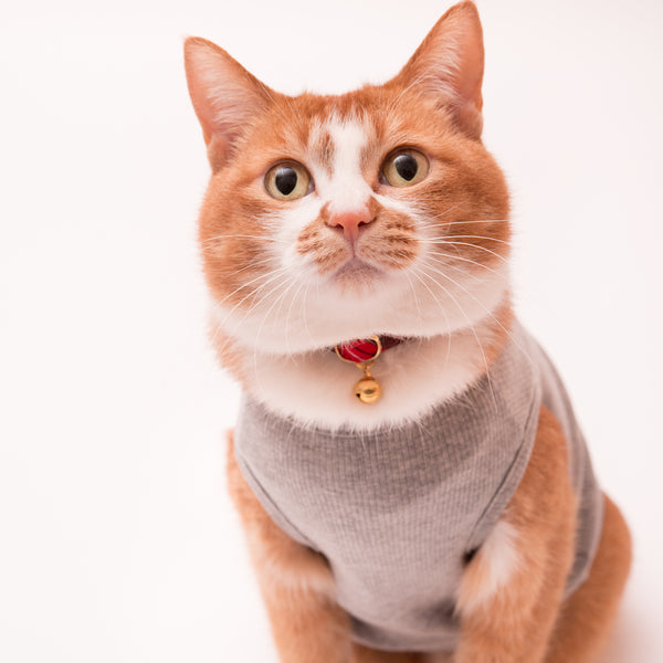 【訳あり】猫に優しい猫服 オーガニックコットンT テレコ無地(ノースリーブ) 【訳あり】猫に優しい猫服 オーガニックコットンT テレコ無地(ノースリーブ)