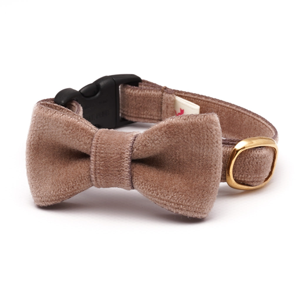 リボン付き猫首輪 ベルベット ダークベージュ