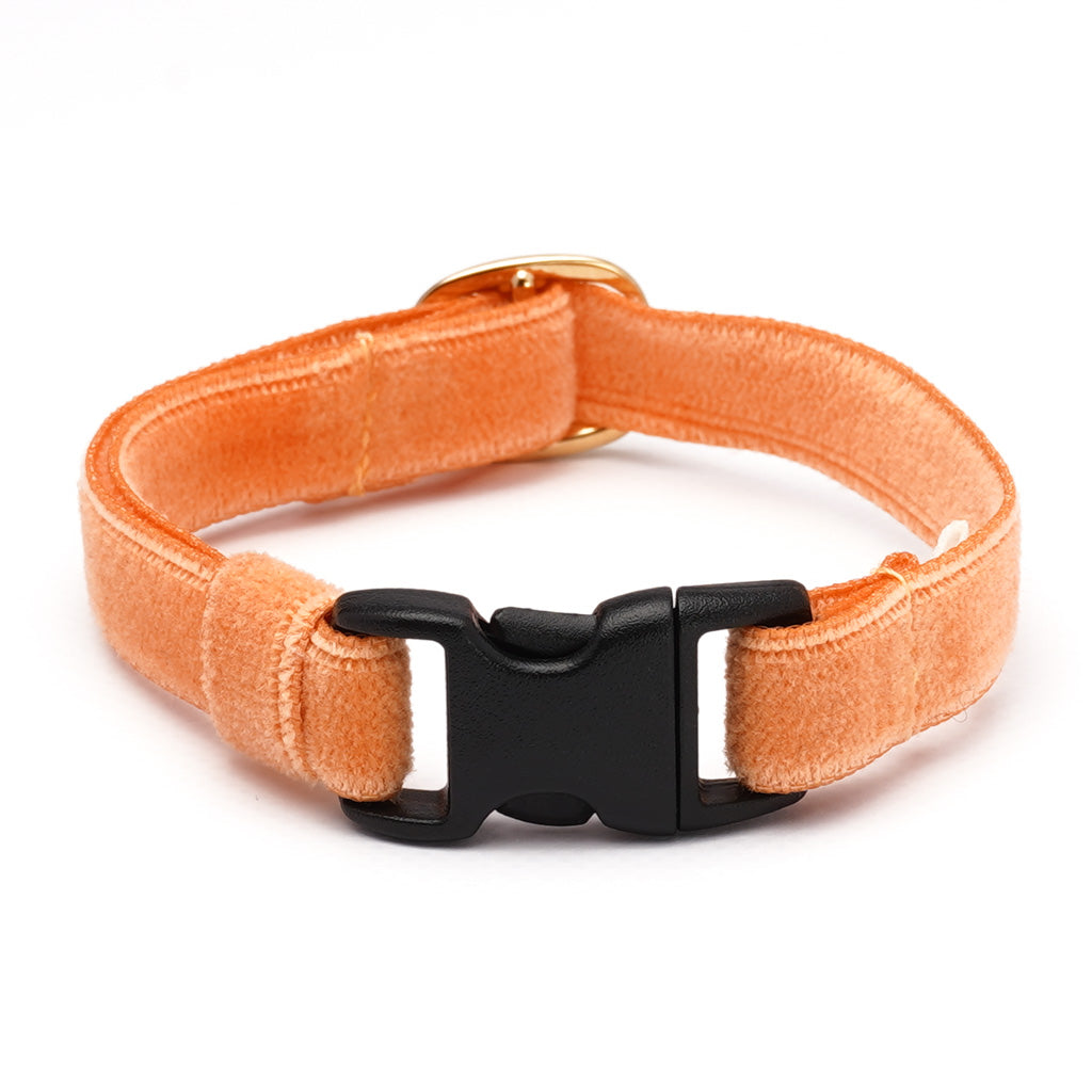 猫首輪 ベルベット オレンジ