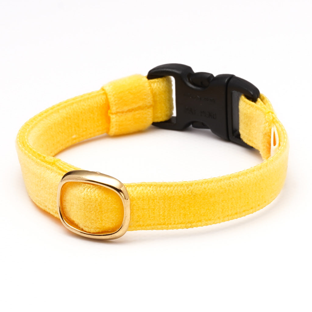 猫首輪 ベルベット イエロー