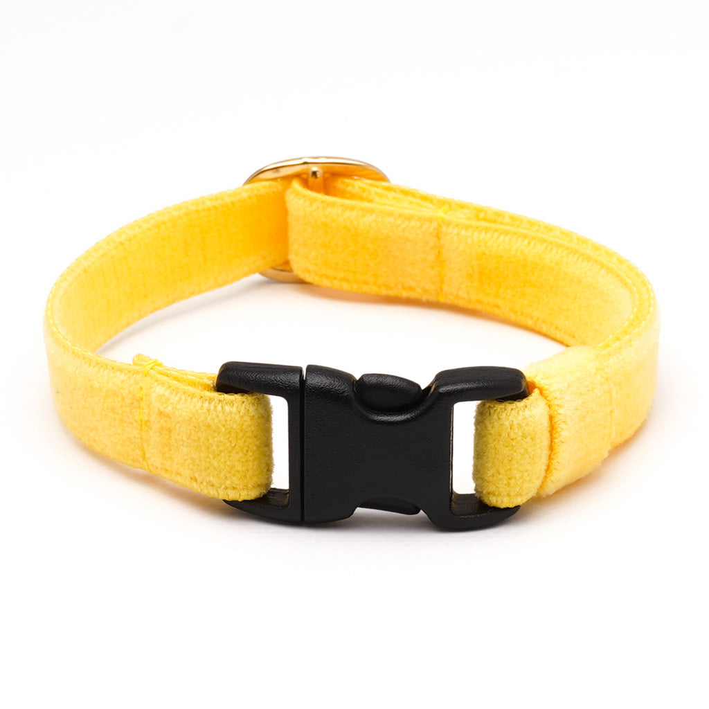 猫首輪 ベルベット イエロー