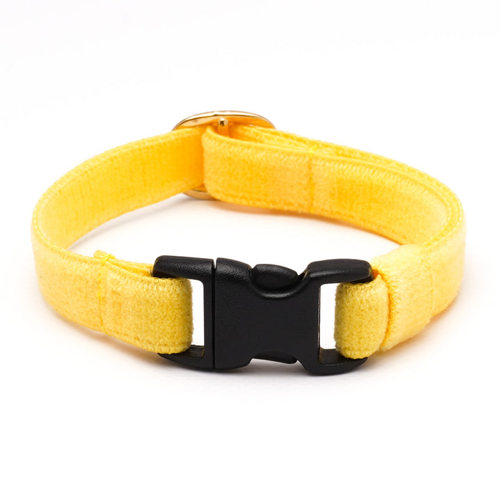 猫首輪 ベルベット イエロー