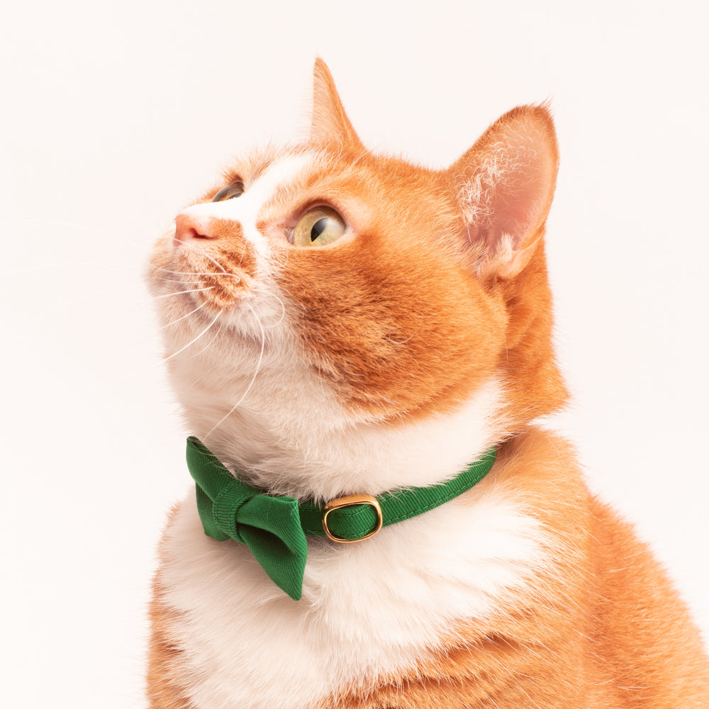 リボン付き猫首輪 MUJIコットンツイル グリーン - ぽぽねこ公式オンラインショップ